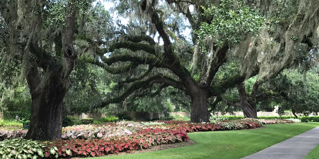 21 Reasons Why You Want to Visit Myrtle Beach